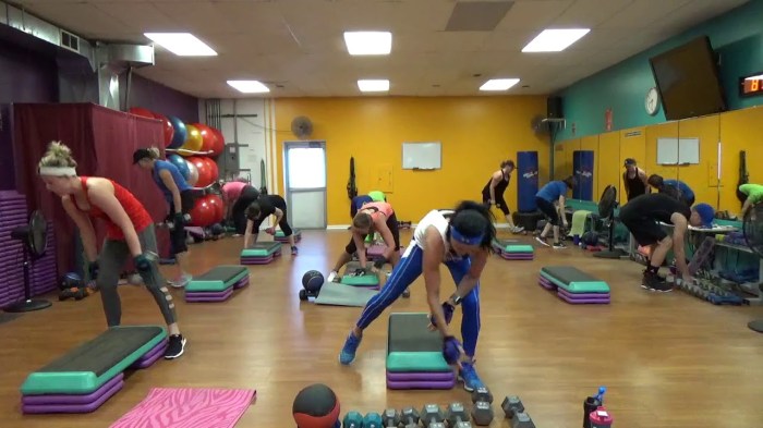 Cardio HIIT/Bicep/Back/Core Circuits – 2 Lazy 4 the Gym